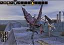 Un piccolo Drago